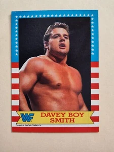 DAVEY BOY SMITH 1987 TOPPS WWF Wrestling Stars CARD #19 - Picture 1 of 2