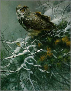 Robert Bateman - WINTER PINE-GREAT HORNED OWL - LTD ED Print