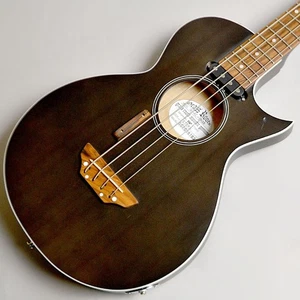 GrassRoots G-AC-BASS STBKS (no2511041) - Bild 1 von 11