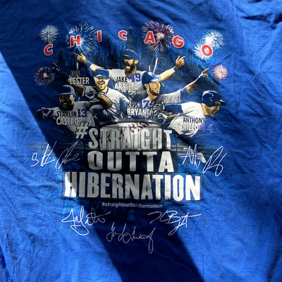 Мужская футболка Gildan Heavy Cotton Chicago Cubs Straight Outta Hibernation 2XL - Изображение 1 из 4