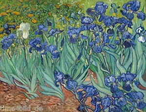 IMAGEN TIME4 VINCENT VAN GOGH FLORES DE IRIS IMAGEN LIENZO GICLEE Arte ARTE - Imagen 1 de 4
