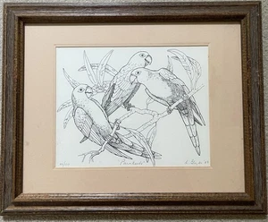 Three Parrot Pen and Ink Print Framed and Signed - Picture 1 of 5