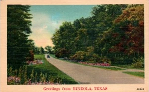 Lot of 2 1940s Linen TX Postcards Greetings From Mineola Texas Scenic Nature - Picture 1 of 4