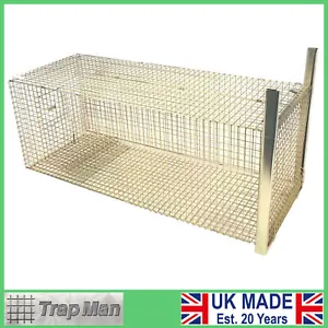 FOX trap cage TrapMan humane catch alive fox cage trap LARGE tall long UK MADE - Picture 1 of 10