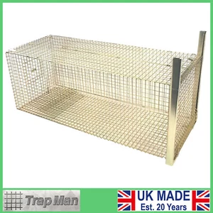 FOX trap cage TrapMan humane catch alive fox cage trap LARGE tall long UK MADE - Picture 1 of 10