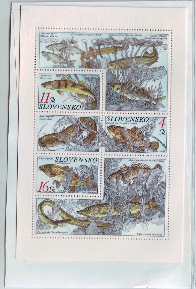 Slovakia Sc 309 NH Minisheet of 1998 - Fish - Sea Life - Image 1 of 1