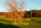 Photo 6x4 Tree on Harewood Downs golf course Stratton Chase The tree was  c2012