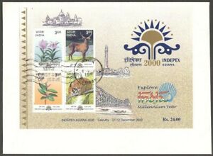 AOP India 2000 INDEPEX ASIANA MS Miniature Sheet on FDC First Day cover