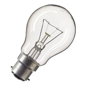 Lampe blanche 12V 40W B22 NEUVE (ampoule baladeuse, camping-car, caravane...) - Picture 1 of 1