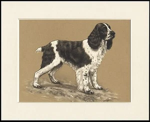 ENGLISCHER SPRINGER SPANIEL SCHÖNER HUNDEDRUCK RAHMENFERTIG MONTIERT - Bild 1 von 1