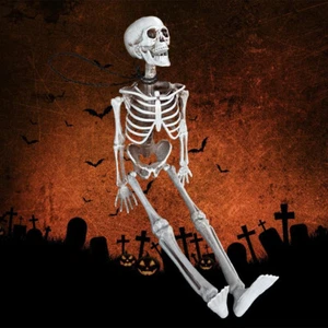 Riesige Lebensgröße menschliches Skelett Modell Horror Knochen Halloween Dekor - Bild 1 von 7