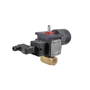 Gemini 1" NPT Brass DBL Act Pneu Act 24VAC Viton Seal W/Switch & Solenoid - Picture 1 of 1