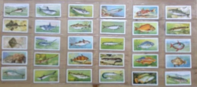 Players cigarette cards: Sea Fishes 1935 full set in sleeves - Image 1 of 2