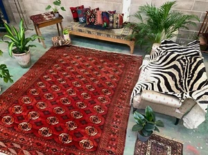 Antique Turkmen Tekke Main Carpet, 280x230 cm Turkoman Bokhara Red Black Beige - Picture 1 of 11