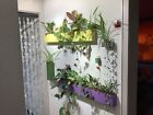 Pflanzkübel aus Edelstahl, Blumenkübel, Blumentopf, Wandbegrünung, Hydrokultur