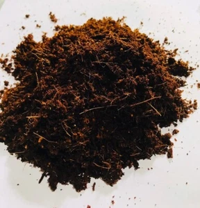 Coco power peat coconut coir best for plant growing 100g - Picture 1 of 4