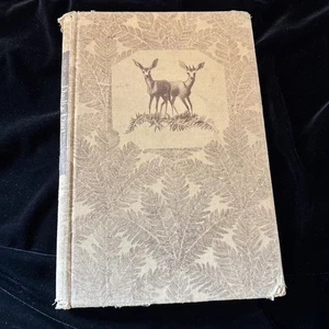 DASH AND DART von Mary & Conrad Buff Hardcover 1. Auflage 1942 - Bild 1 von 10