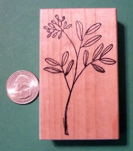 Estampilla de goma montada en madera de planta con flores de hada - Imagen 1 de 1