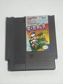 Dig Dug 2 NES Nintendo Entertainment System TESTED WORKS Great condition
