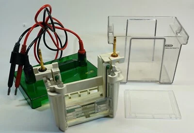 Equipamento de eletroforese em gel Bio-Rad Mini PROTEAN 3 SDS-PAGE + placa de barragem tampão - Imagem 1 de 4