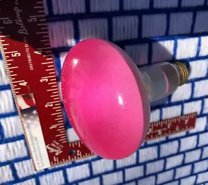 NEU 65 WATT 65w PINK R30 FLOOD 130v GLÜHBIRNE 65BR32 Spot BR30 Made in USA - Bild 1 von 3