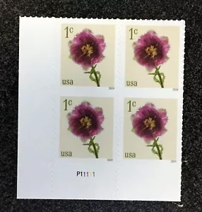 2024USA #5897 1c Fringed Tulips - Plate Block of 4 Mint NH flower - Picture 1 of 4