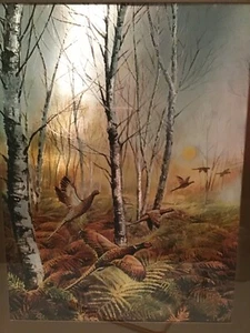 FJ Warren Dufex Stampa Lamina Fagiani Incorniciato Foresta - Foto 1 di 9