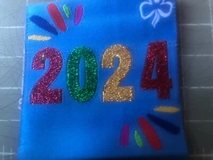 Girl Guides / Scouts 2024 - Picture 1 of 1