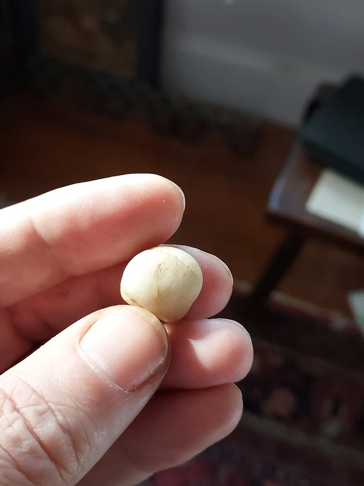 Ancient Natural Clam Pearl - Image 1 of 3