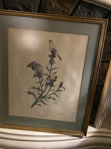 Ray Harm American Goldfinch Birds Print No. XV Matted Framed Print - Picture 1 of 5