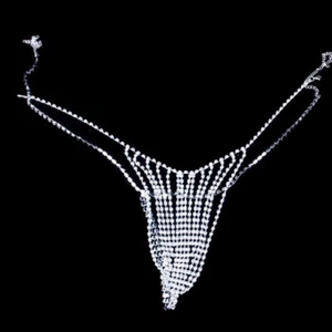 Trendy Full Rhinestone Bikini Rhinestone Panty Set Sexy Body Chain - Picture 1 of 7