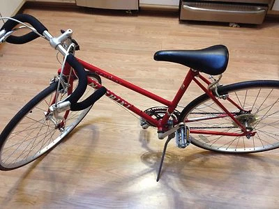 VINTAGE 1970s ERA NISHIKI CENTURY LUGGED STEEL ROAD BIKE FRAME 58cm 1207 Restore - Image 1 of 4