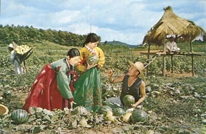 Cosecha en agua campo de limón Corea sandías Segi Tours postal - Imagen 1 de 2