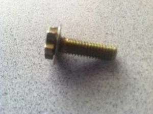 2004-2008 BMW 750i 750Li E65 E66 ~ RIGHT FRONT WINDOW REGULATOR SCREW ~ OEM PART - Picture 1 of 3