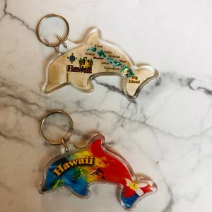 Schlüsselanhänger Hawaii Delfin 2er Pack Ozean Insel Acryl Souvenir - Bild 1 von 4