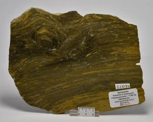 STROMATOLITE Kussiella cf. kussiensis, Paleoproterozoic, CANADA, S1074 - Imagen 1 de 4