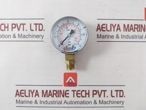 Aignep Pneumatic EN837-1 Diaphragm Pressure Gauges 0-12 BAR - Picture 1 of 9