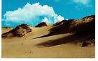 Vintage Sand Dunes On Cape Cod Massachusetts Postcard Landscapes