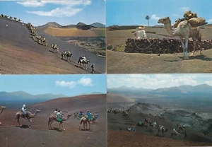 Lot 4 cartes postales postcard 10x15cm ESPAGNE SPAIN ESPANA LANZAROTE CANARIAS - Picture 1 of 1