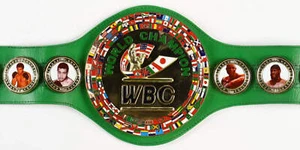 Devin Haney Signed WBC Full-Size Championship Belt (Beckett) Beckett Witnessed - Bild 1 von 4