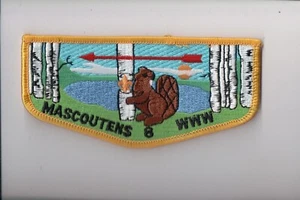 Lodge 8 Mascoutens S-5.5 OA flap - Picture 1 of 1