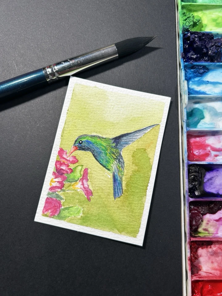 ACEO Original Watercolor painting Hummingbird by Kristie Tolbert - Image 1 of 1
