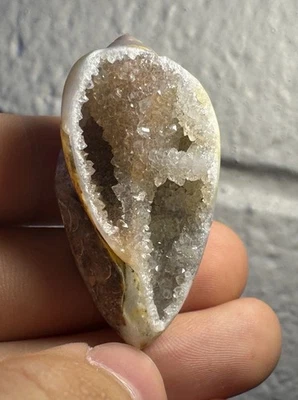 1.57 in. Druzy Quartz Crystals In Chalcedony Gastropod Shell Fossil Snail India - Image 1 of 4