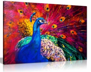 Coloured Peacock Canvas Wall Art Picture Print - Picture 1 of 5