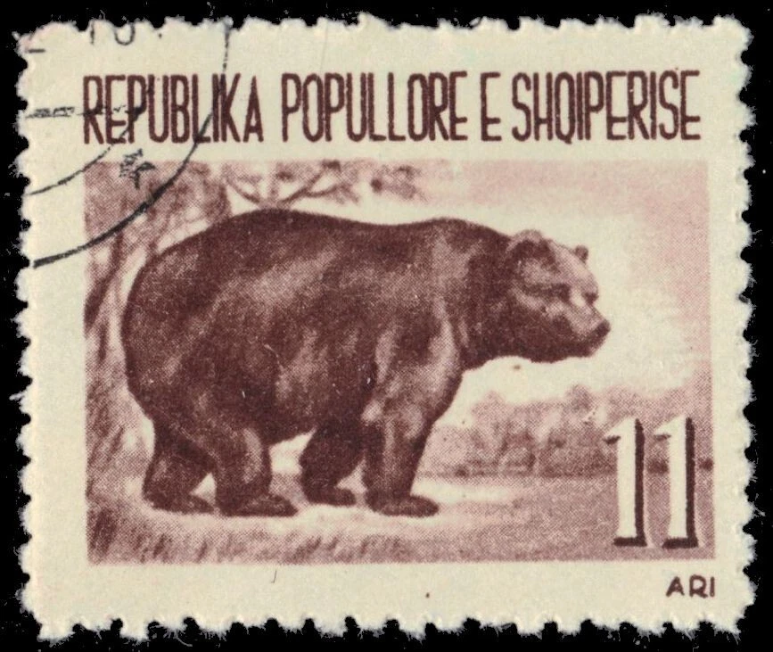 ALBÂNIA 591 - Urso marrom europeu "Ursus arctos" (pb68886) - Imagem 1 de 1