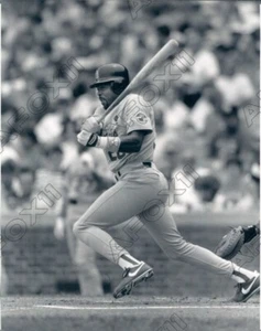 1992 St Louis Cardinal Baseballspieler erster Baseman Pedro Guerrero Pressefoto - Bild 1 von 2