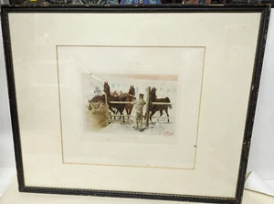 Vintage Used Print German Horses Titled Junge Remonter Signed M. Porthe Berlin - Bild 1 von 11