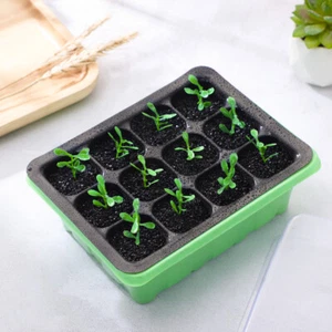 Plant Sprout Plate Greenhouse Tray Plant Plant Starting Kit - Picture 1 of 10
