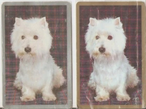 VINTAGE SWAP CARDS DOGS TERRIERS 1970S PLAYING CARDS BORDERS PLASTIC COVER - Picture 1 of 2