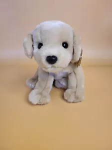 Ty Beanie Buddy "Fetch" the Golden Retriever Hund Plüsch 1999 Vintage Sammlerstück - Bild 1 von 11